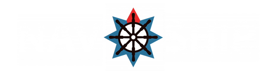 NavShip Logo